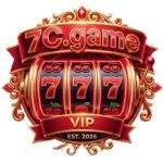 7C Game APK